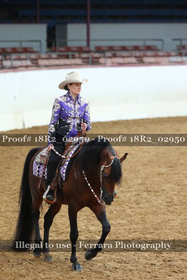 Proof 18R2_02950