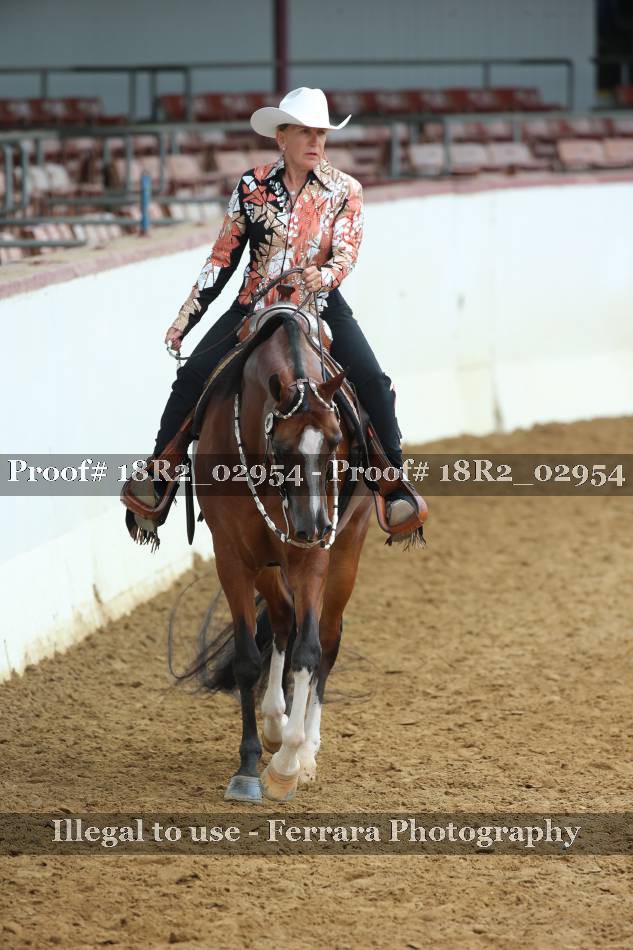Proof 18R2_02954