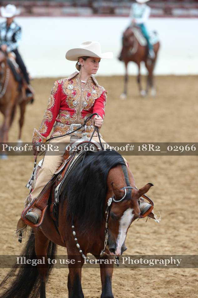 Proof 18R2_02966