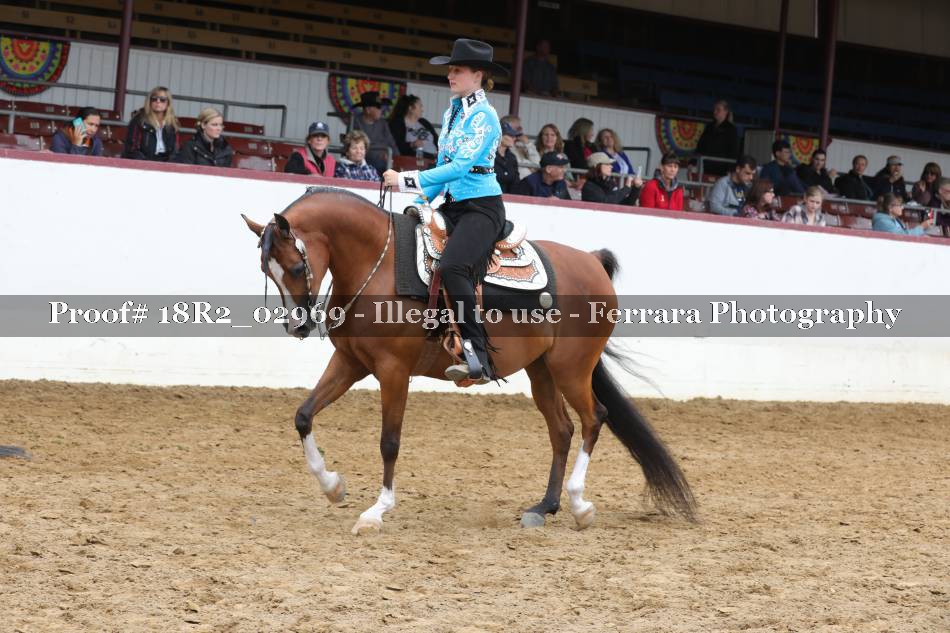 Proof 18R2_02969