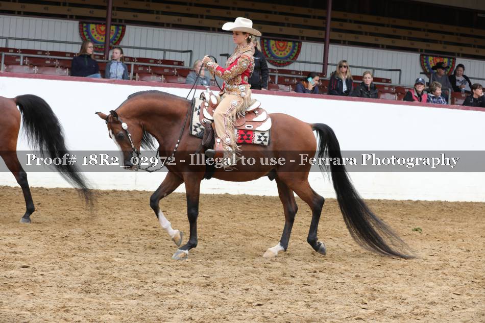 Proof 18R2_02972