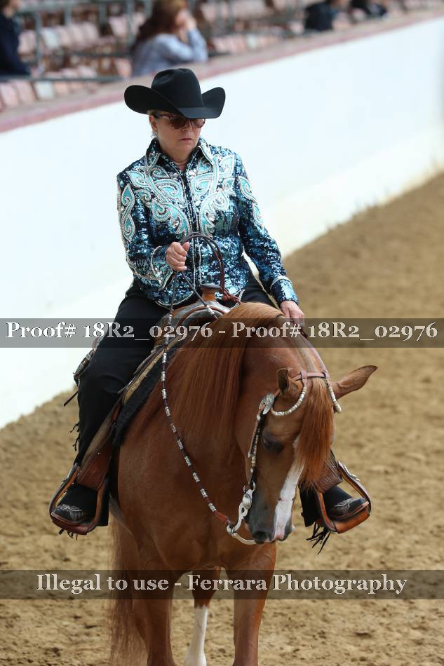 Proof 18R2_02976