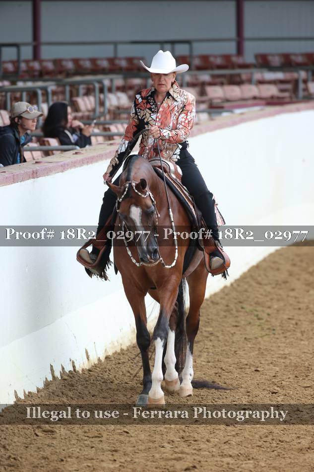 Proof 18R2_02977