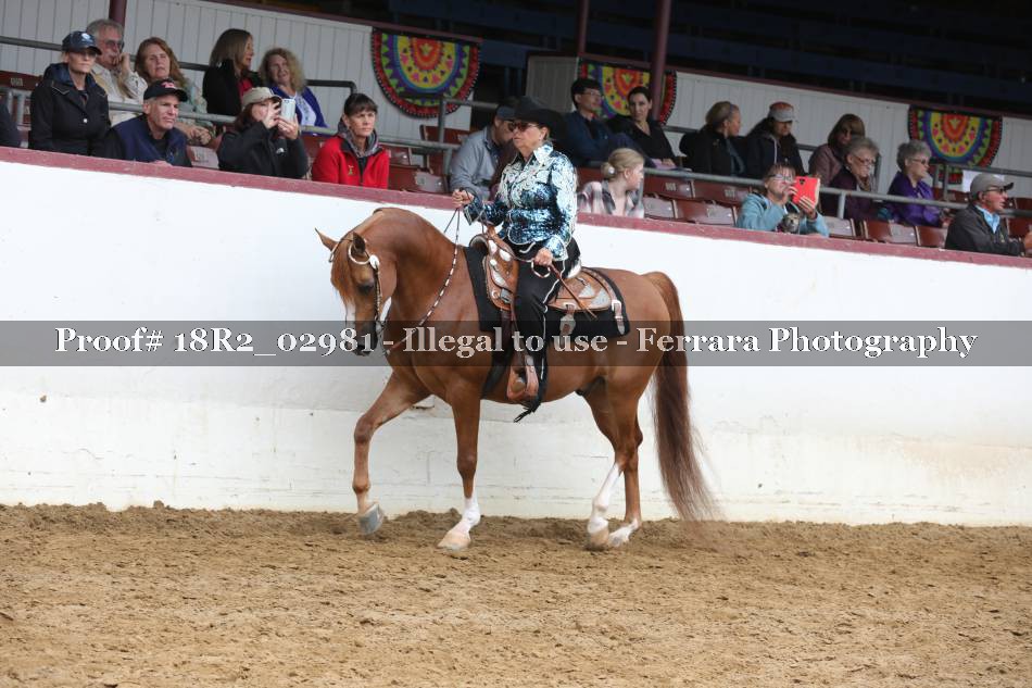 Proof 18R2_02981