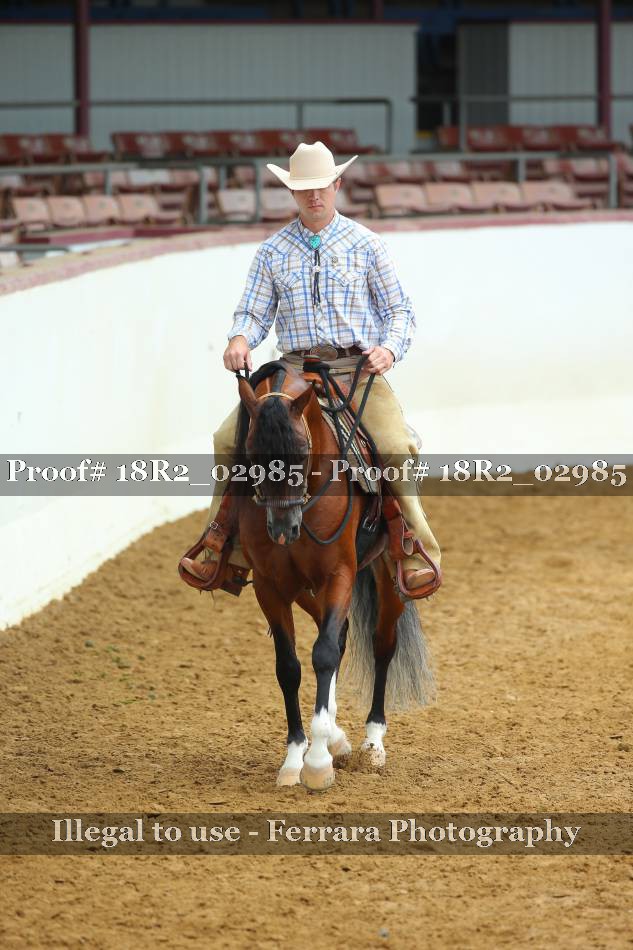Proof 18R2_02985