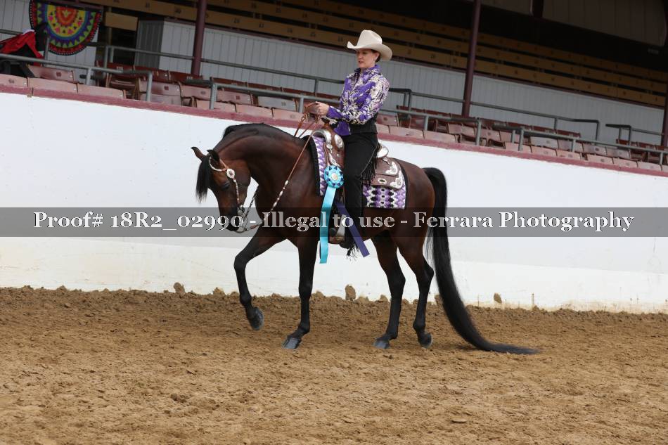 Proof 18R2_02990
