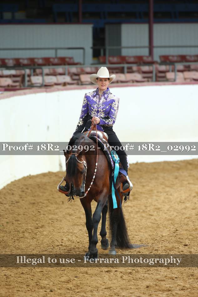 Proof 18R2_02992