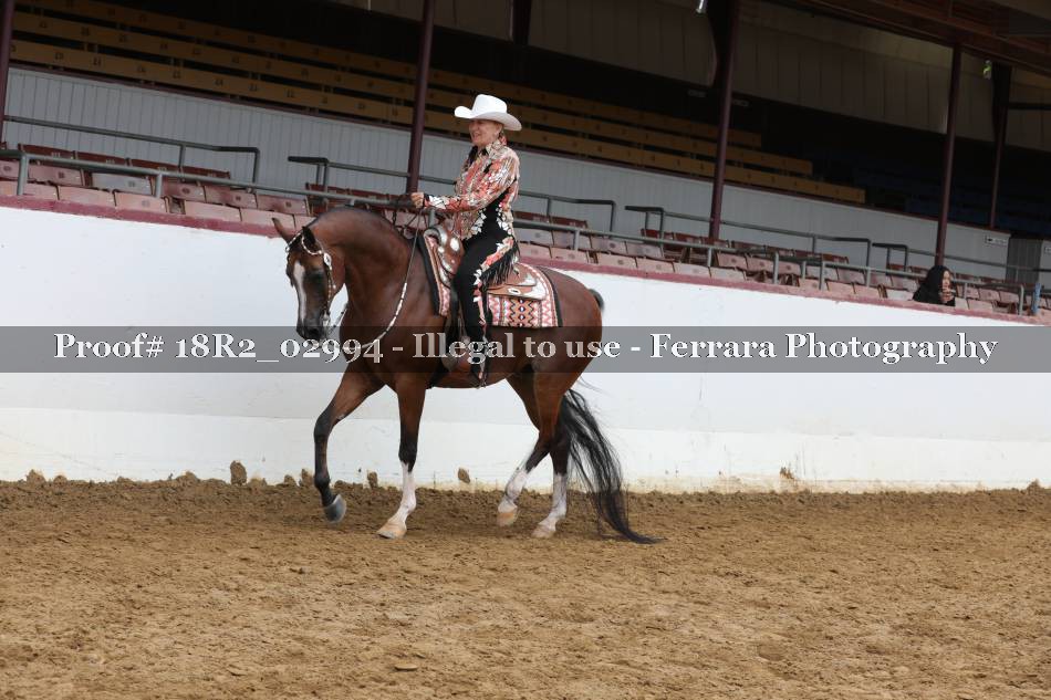 Proof 18R2_02994