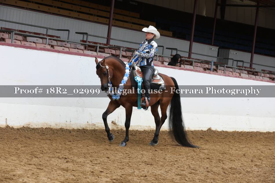 Proof 18R2_02999