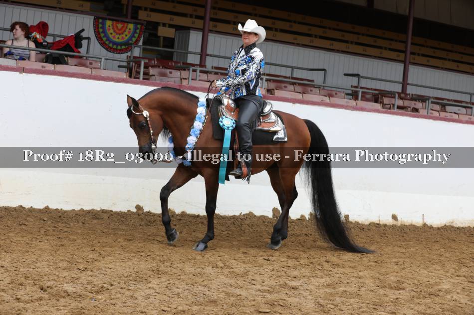 Proof 18R2_03000