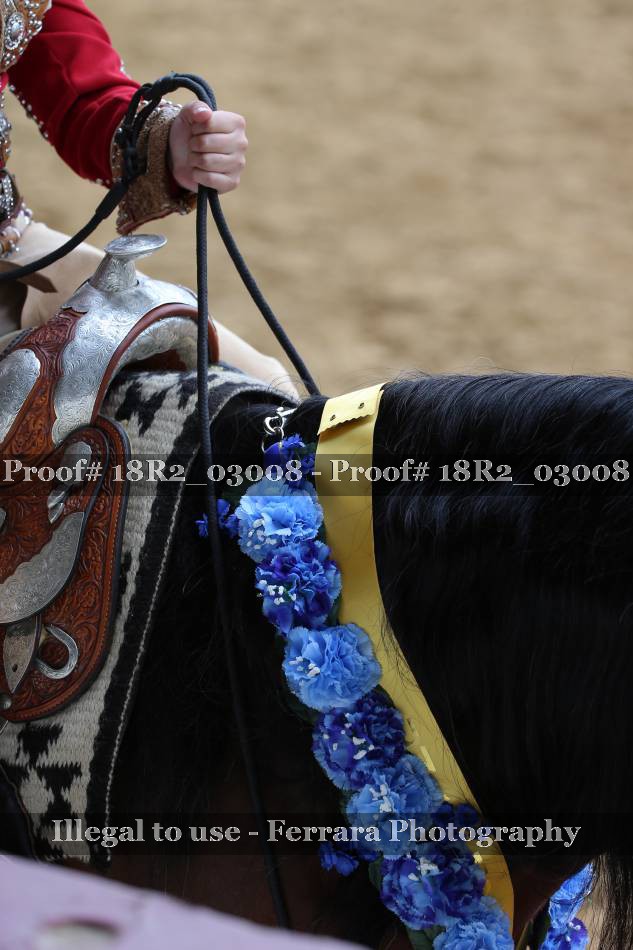Proof 18R2_03008