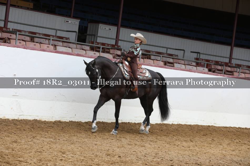 Proof 18R2_03011