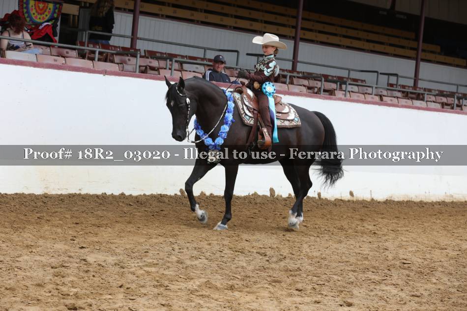 Proof 18R2_03020