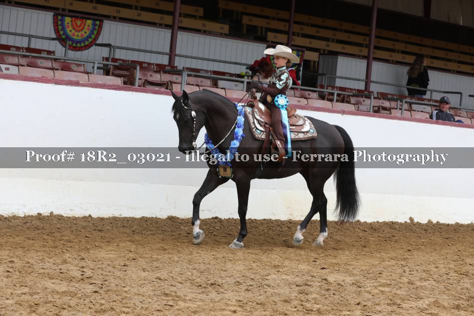 Proof 18R2_03021