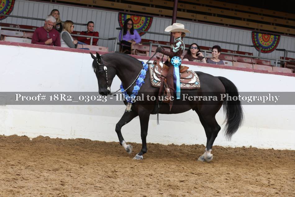 Proof 18R2_03023