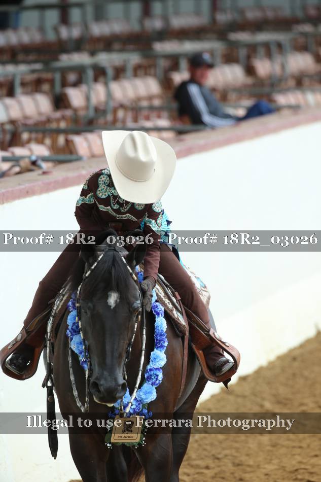 Proof 18R2_03026