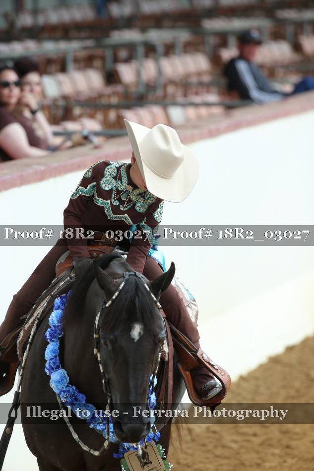 Proof 18R2_03027