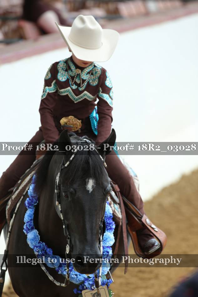 Proof 18R2_03028