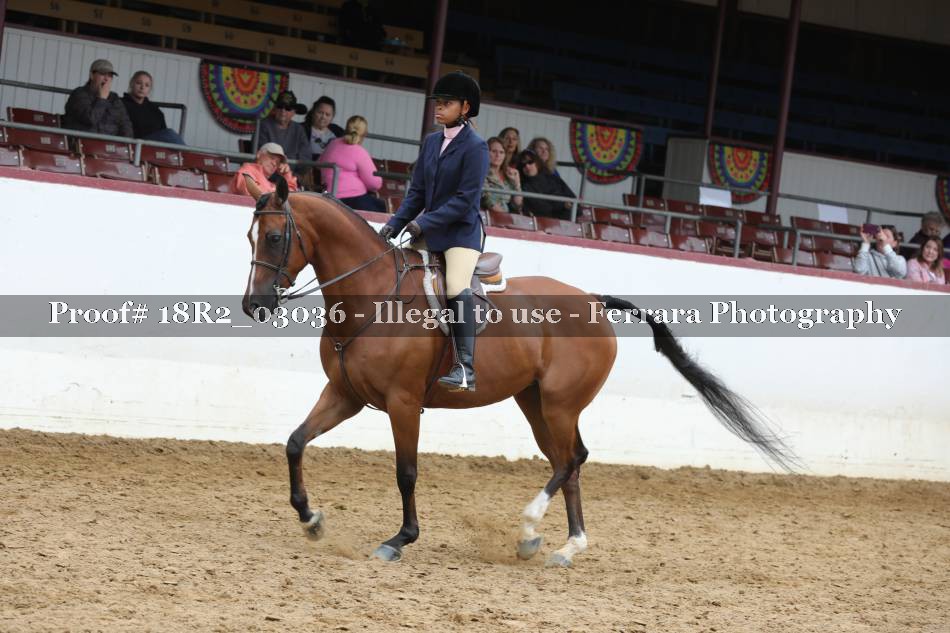 Proof 18R2_03036