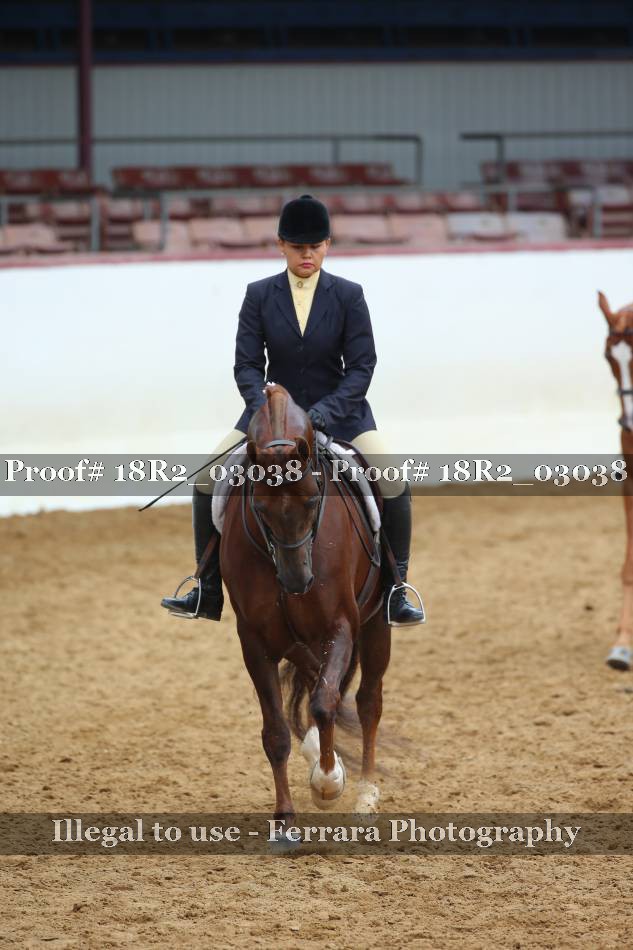 Proof 18R2_03038