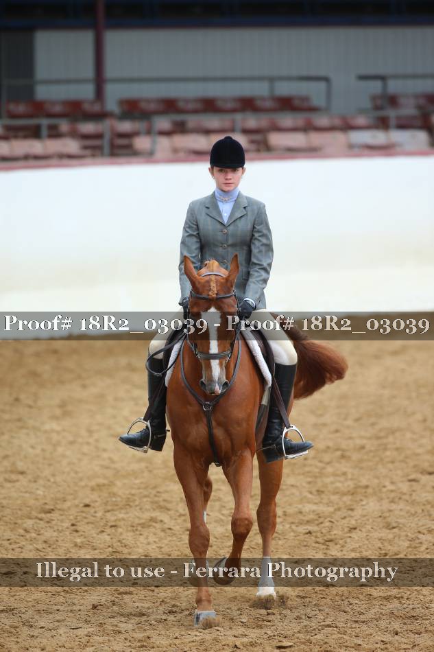 Proof 18R2_03039
