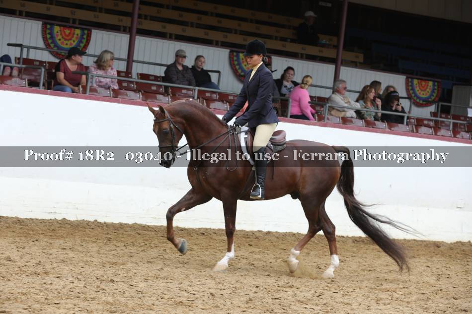 Proof 18R2_03040