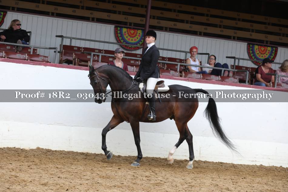 Proof 18R2_03043
