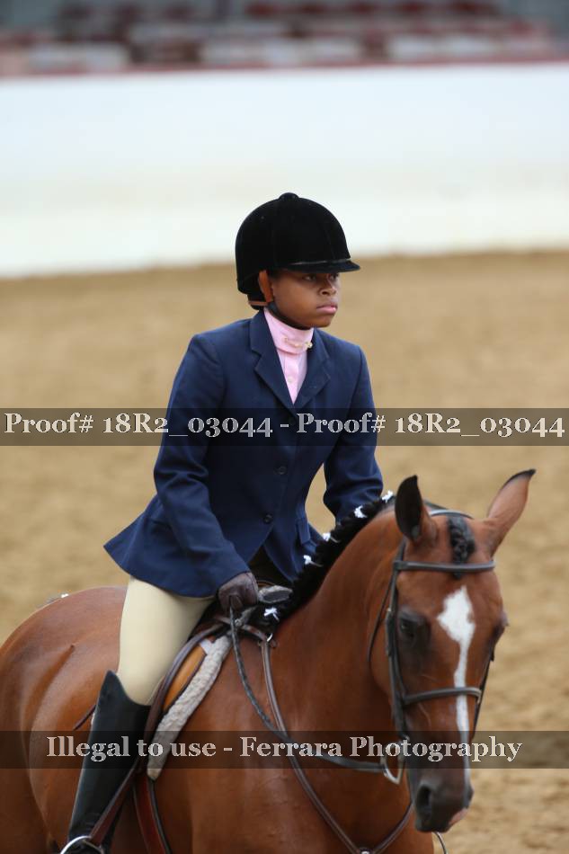 Proof 18R2_03044