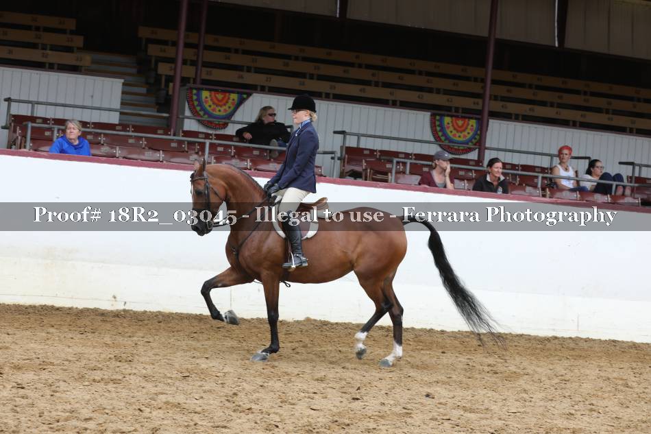 Proof 18R2_03045