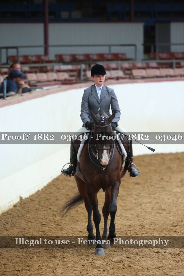 Proof 18R2_03046