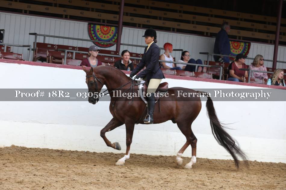 Proof 18R2_03050