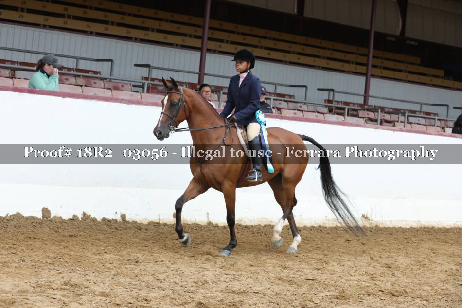 Proof 18R2_03056