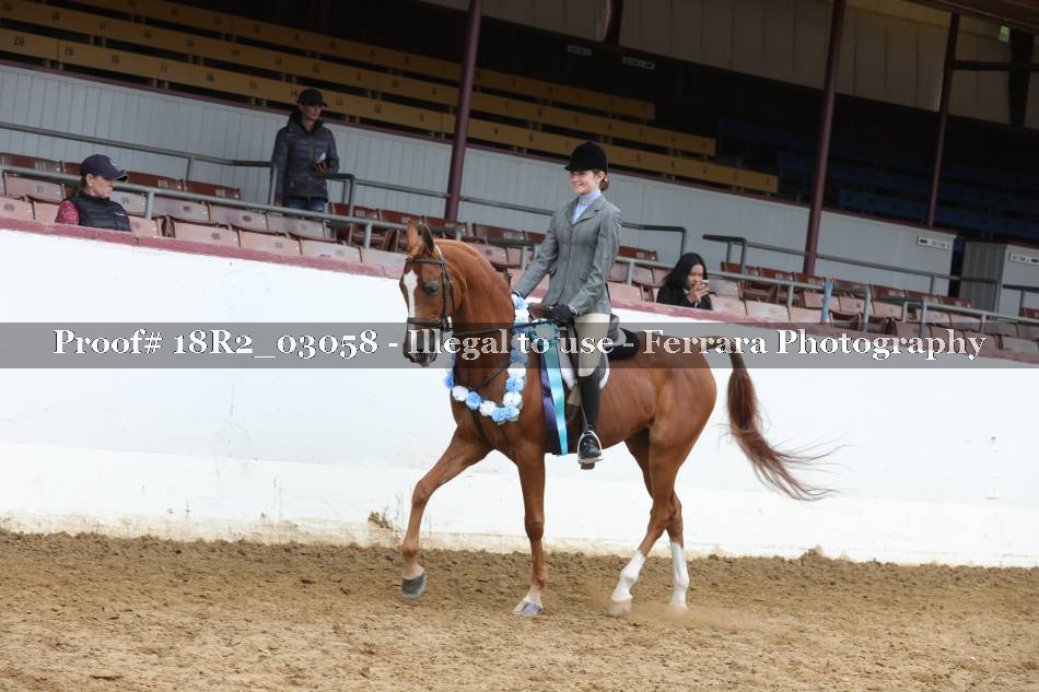 Proof 18R2_03058