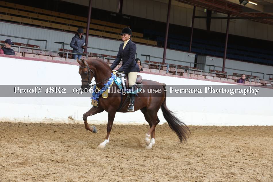 Proof 18R2_03060