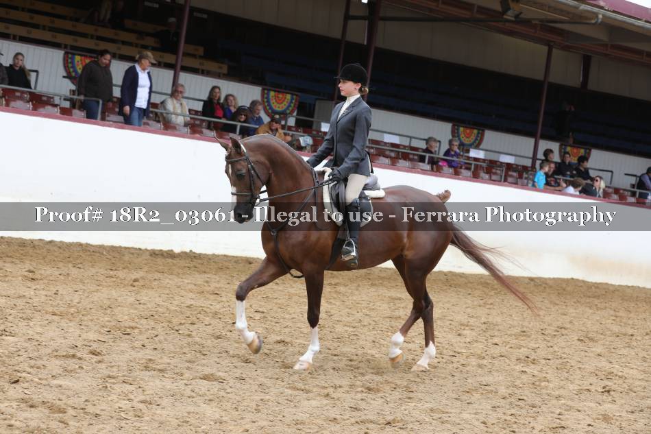 Proof 18R2_03061