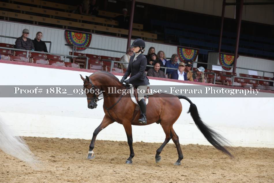 Proof 18R2_03063