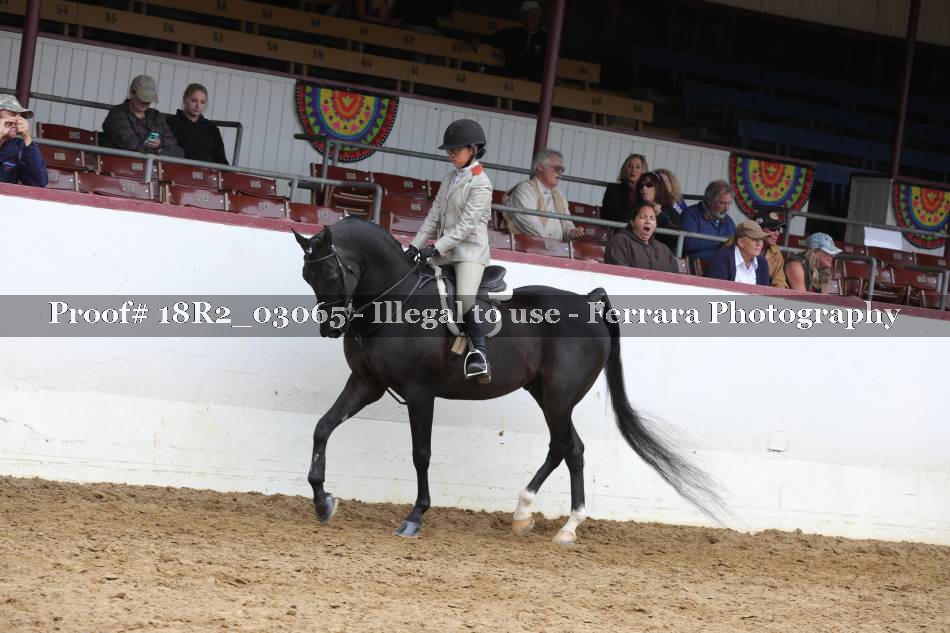 Proof 18R2_03065