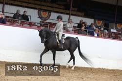 18R2_03065 proof