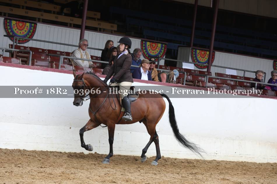 Proof 18R2_03066