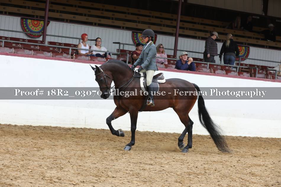 Proof 18R2_03070