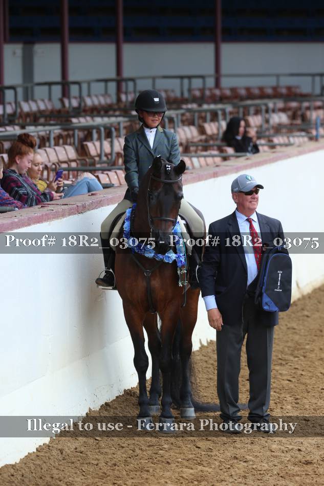 Proof 18R2_03075