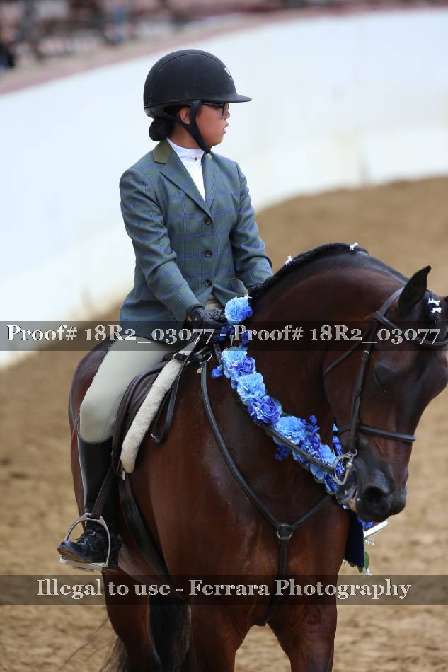 Proof 18R2_03077
