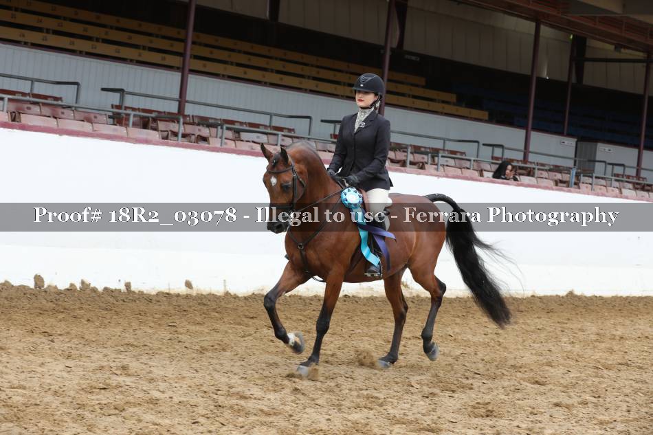 Proof 18R2_03078