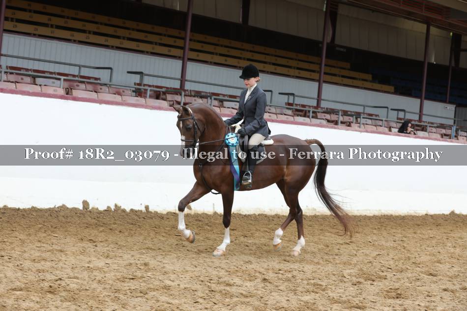 Proof 18R2_03079