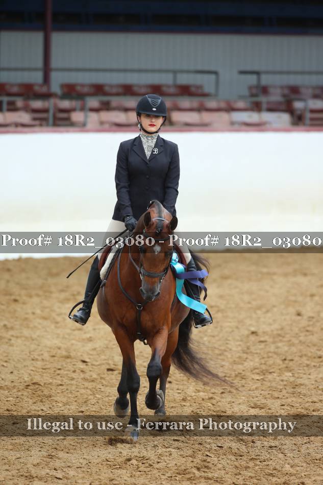 Proof 18R2_03080