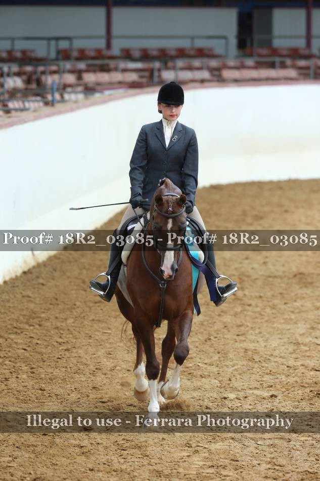 Proof 18R2_03085