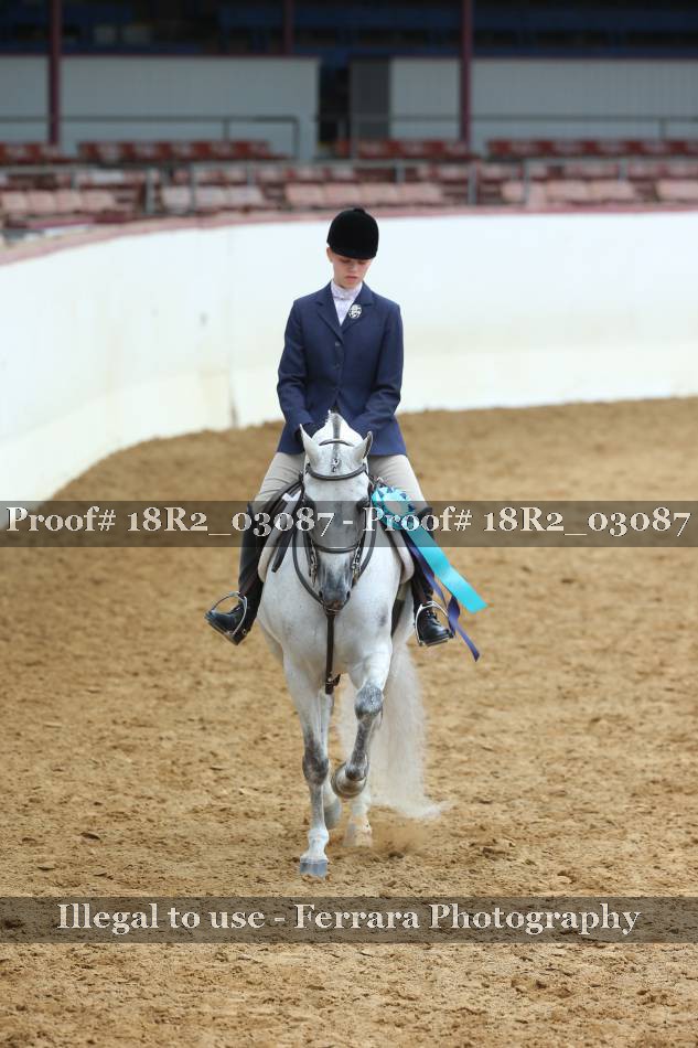 Proof 18R2_03087