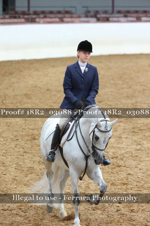 Proof 18R2_03088