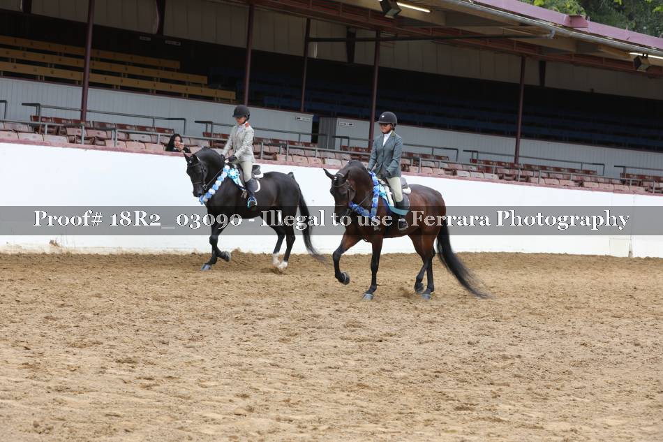Proof 18R2_03090