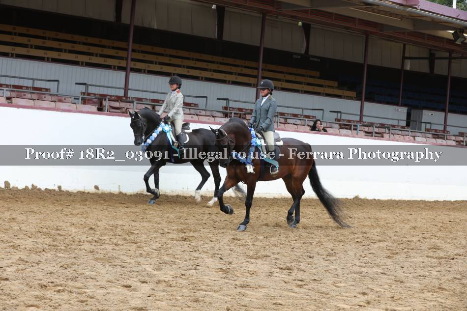 Proof 18R2_03091